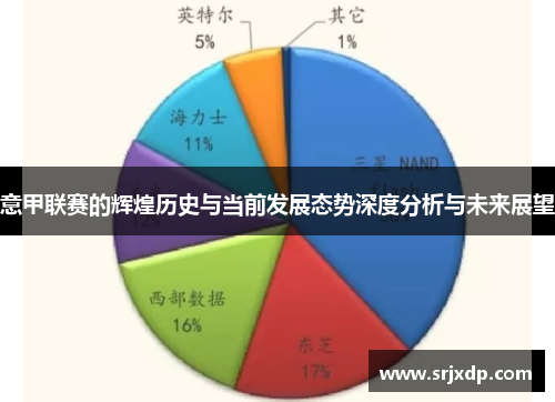 意甲联赛的辉煌历史与当前发展态势深度分析与未来展望