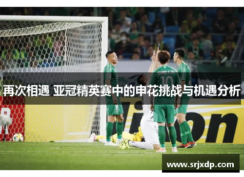 再次相遇 亚冠精英赛中的申花挑战与机遇分析