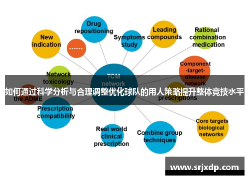 如何通过科学分析与合理调整优化球队的用人策略提升整体竞技水平